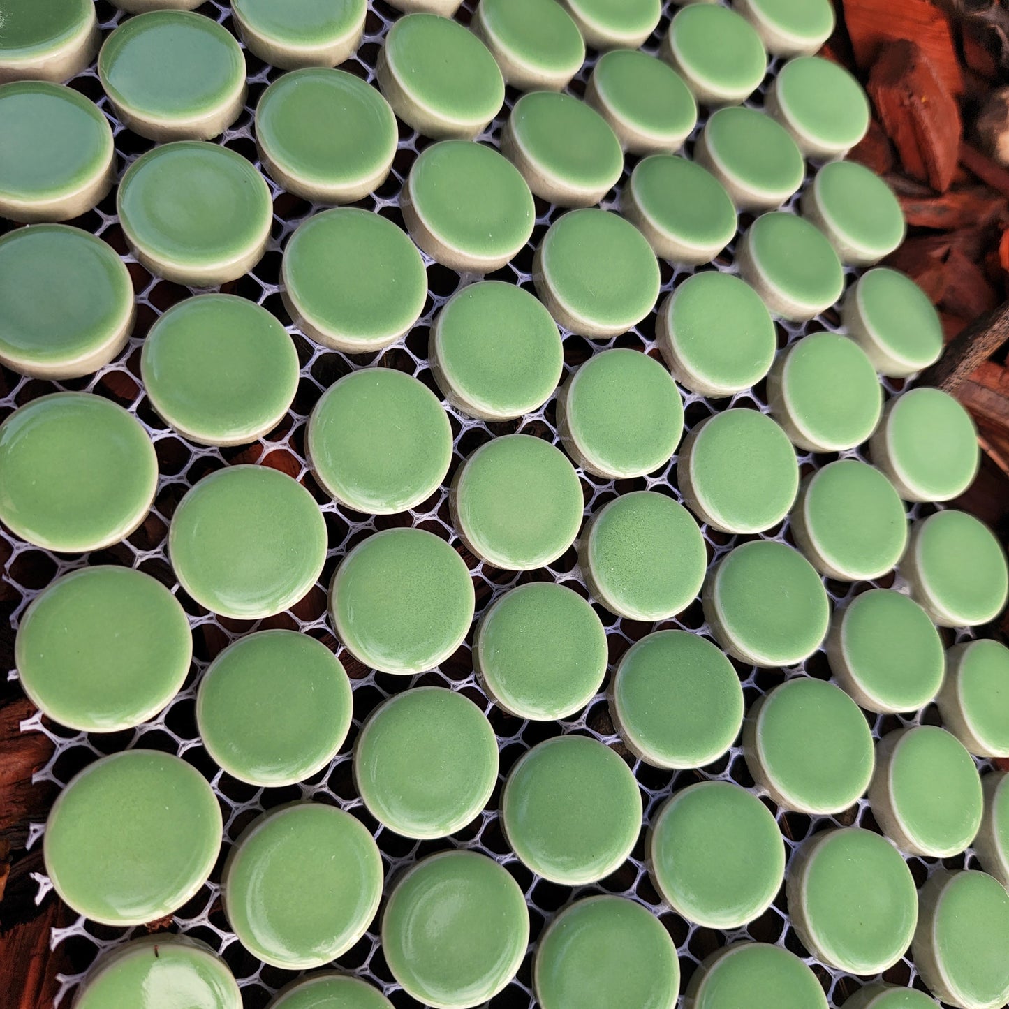 Hard Wearing Penny Rounds MINT GREEN 120 rounds