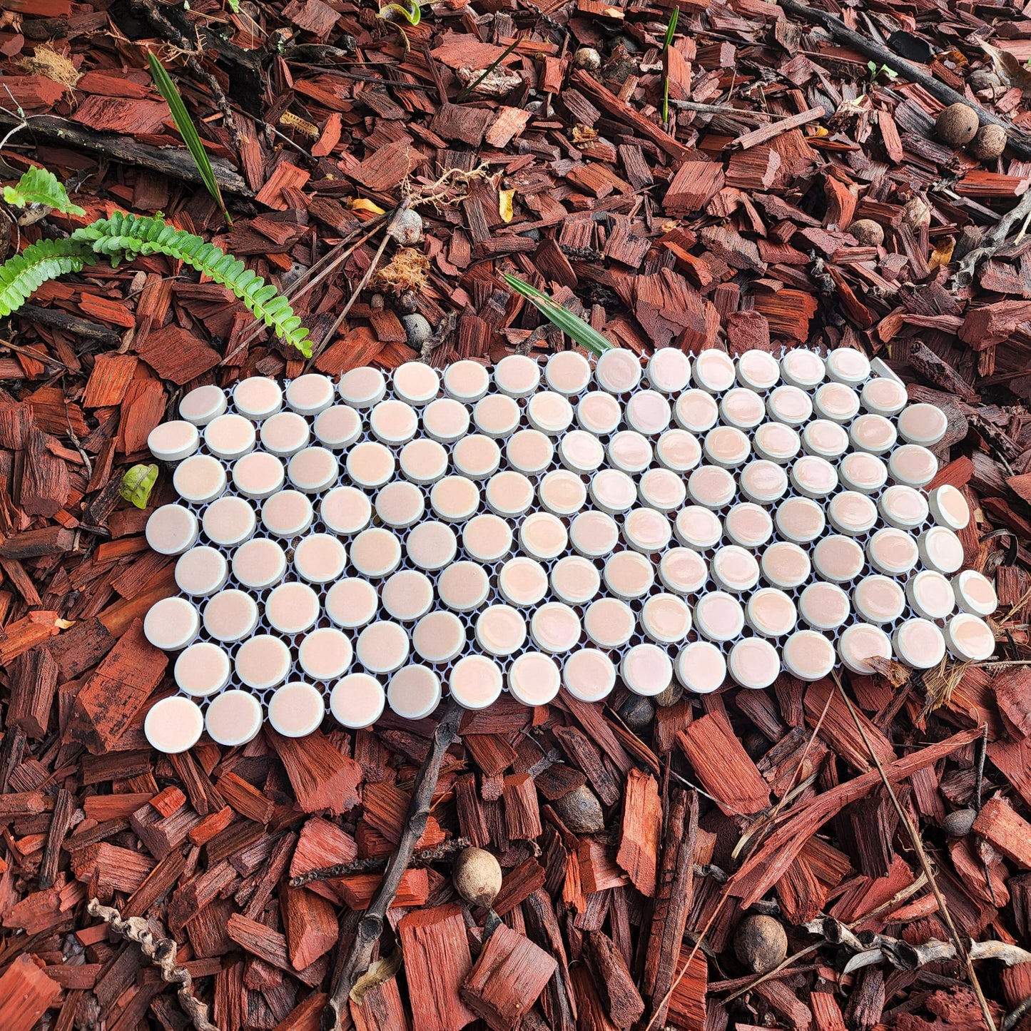 Hard wearing Penny Rounds Blossum Pink 120 rounds per sheet