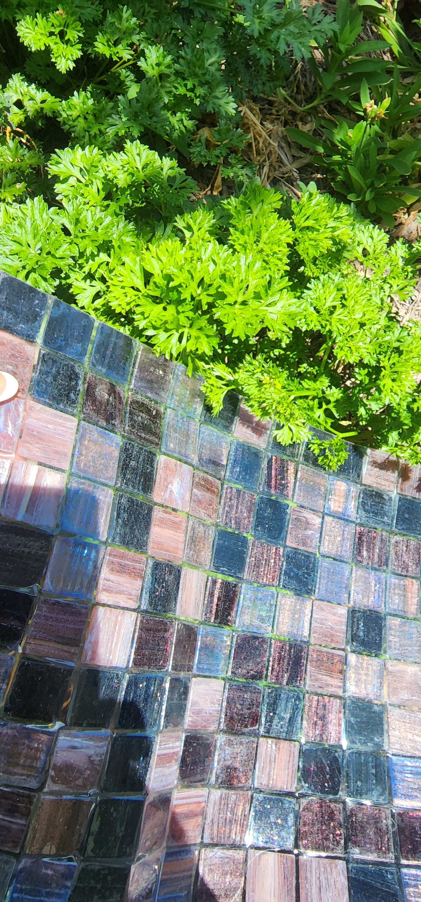 Trend Australian Made 2cm x 2cm full sheet 4mm thickness On Film MULBERRY