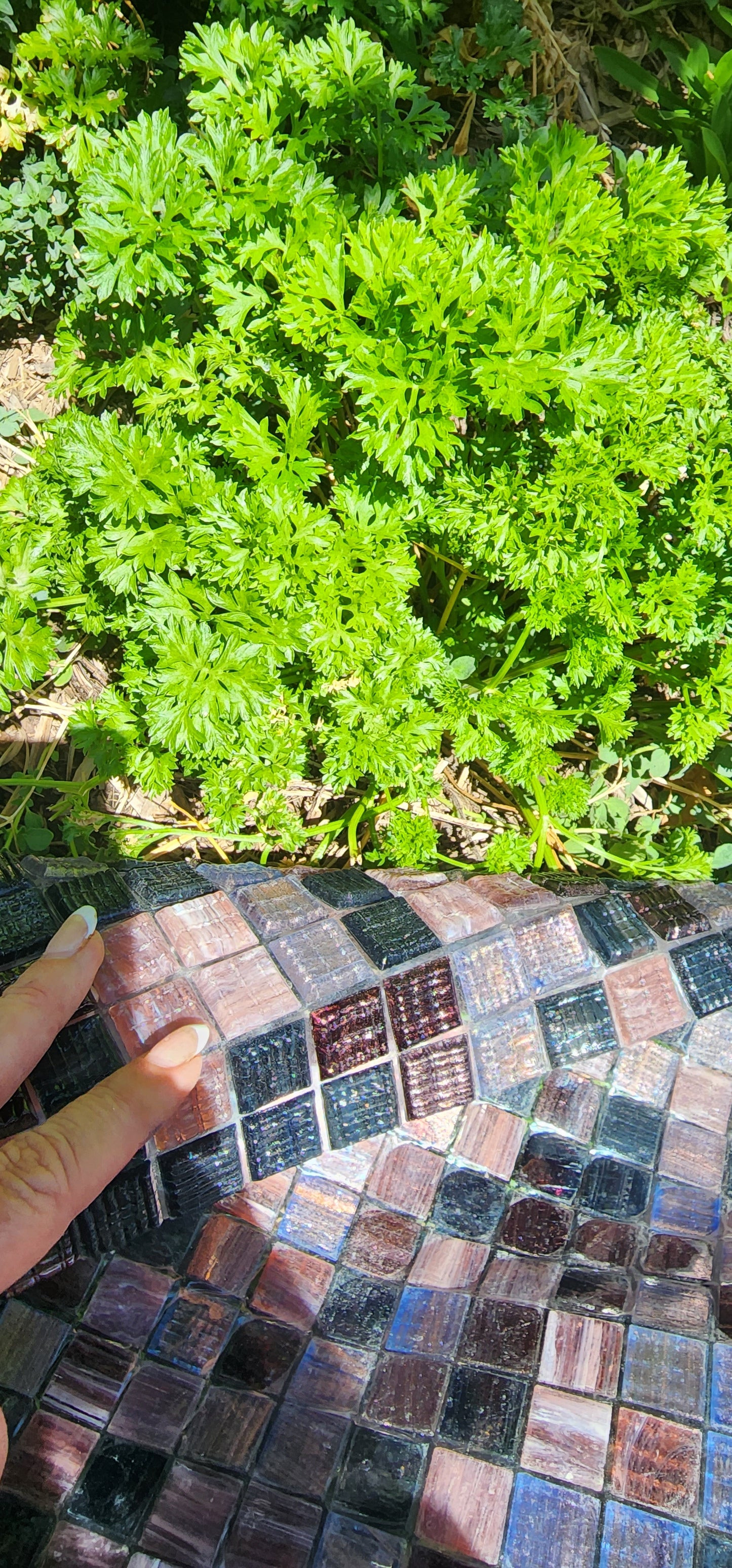 Trend Australian Made 2cm x 2cm full sheet 4mm thickness On Film MULBERRY