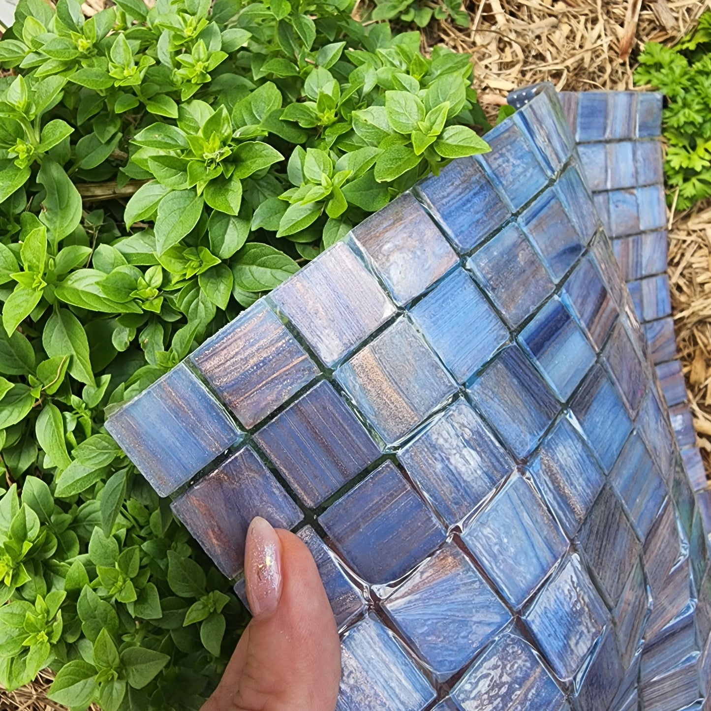 Lavender and Gold - MYLES FRIDAY PICK Trend Quality Film on back